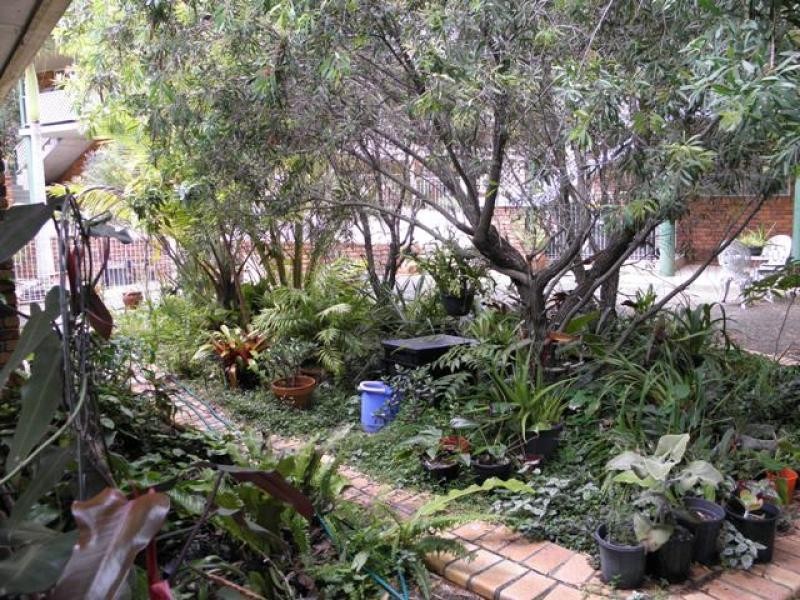 Unit 1/44 Roderick Street, Maclean NSW 2463