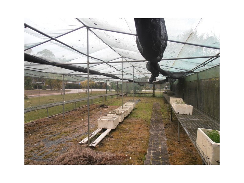 284 Iluka Road, Woombah NSW 2469