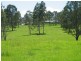 38 Tullymorgan Road, Lawrence NSW 2460