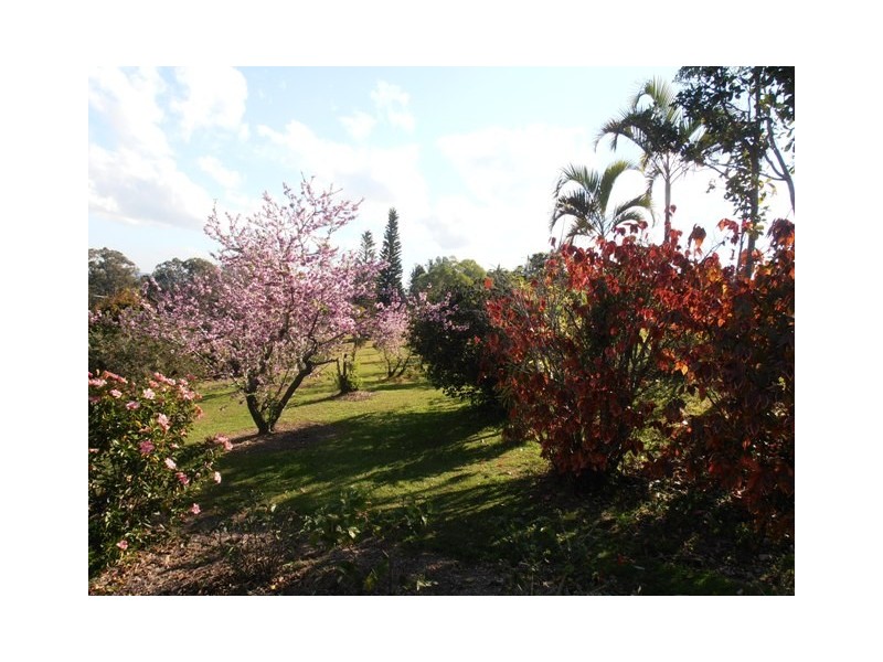 282 Iluka Road, Woombah NSW 2469