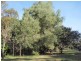 Lot 521/ Pottery Lane, Woombah NSW 2469