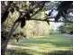 Lot 521/ Pottery Lane, Woombah NSW 2469