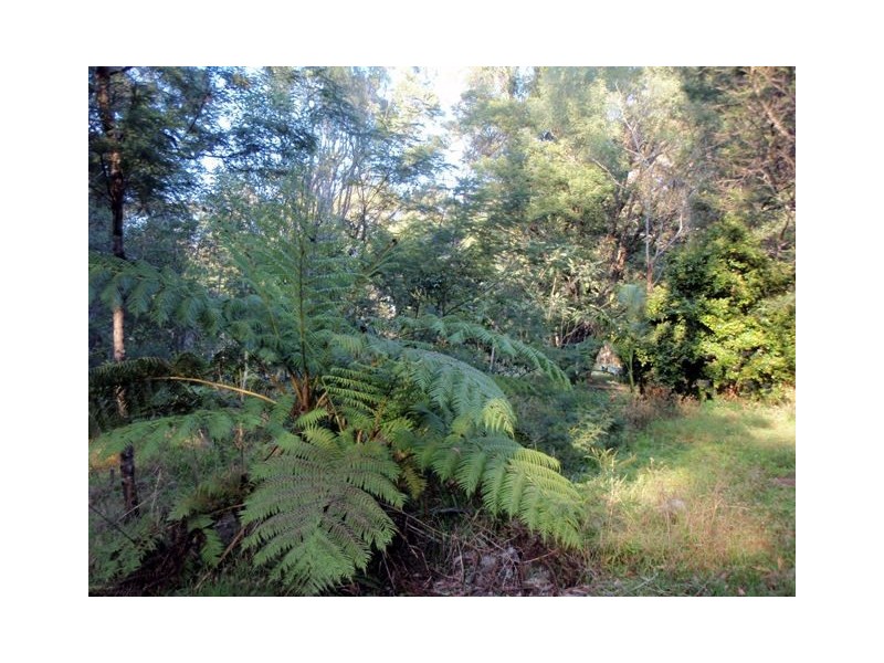 Lot 521/ Pottery Lane, Woombah NSW 2469