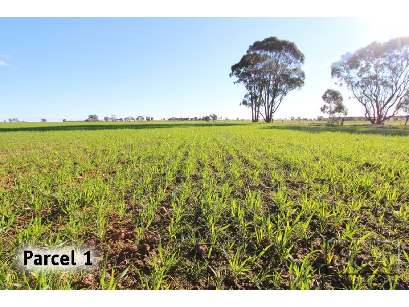 295 Engi Road, Neilborough VIC 3570