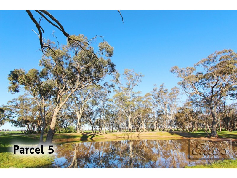 295 Engi Road, Neilborough VIC 3570