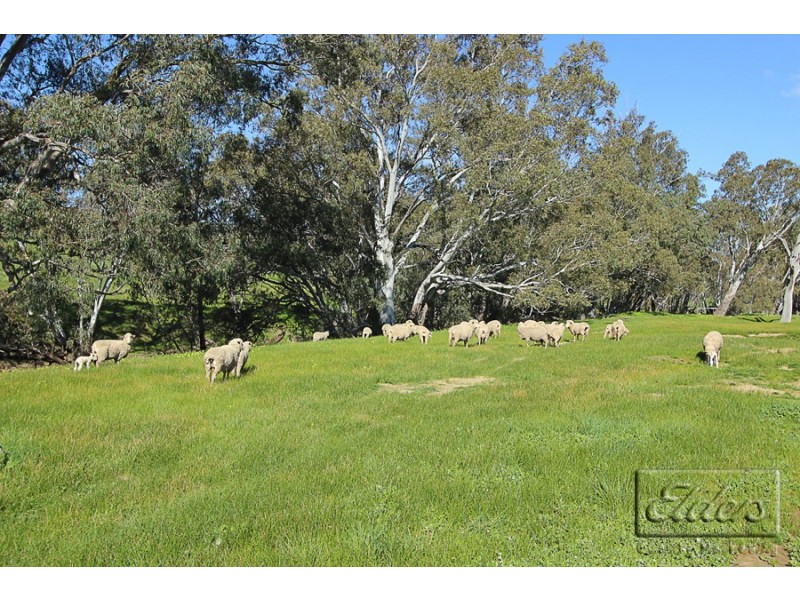 232 Axedale – Goornong Road, Axedale VIC 3551