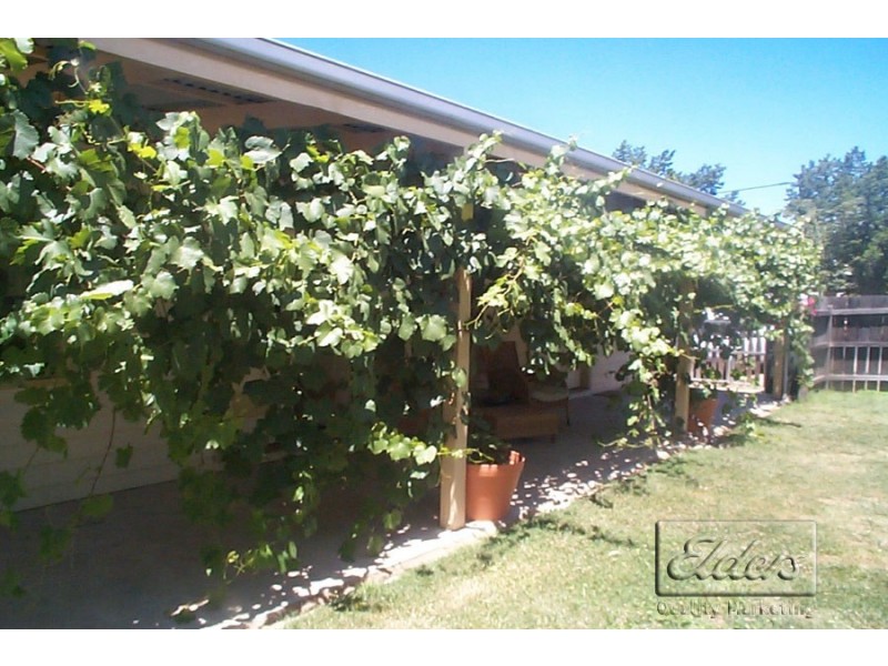 58 Honeysuckle Street, Bendigo VIC 3550