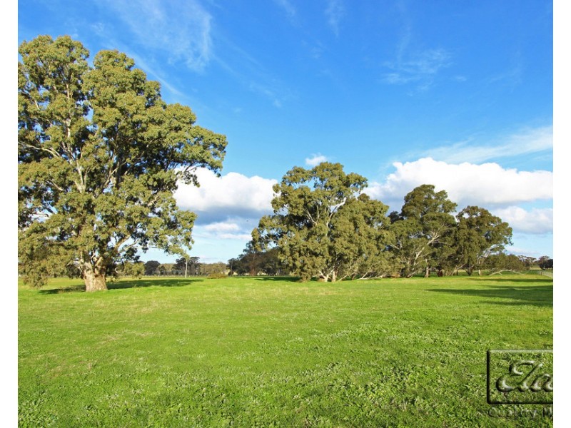 610 Axe Creek Road, Axe Creek VIC 3551