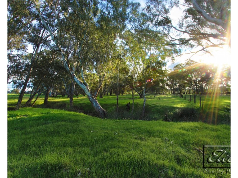 610 Axe Creek Road, Axe Creek VIC 3551