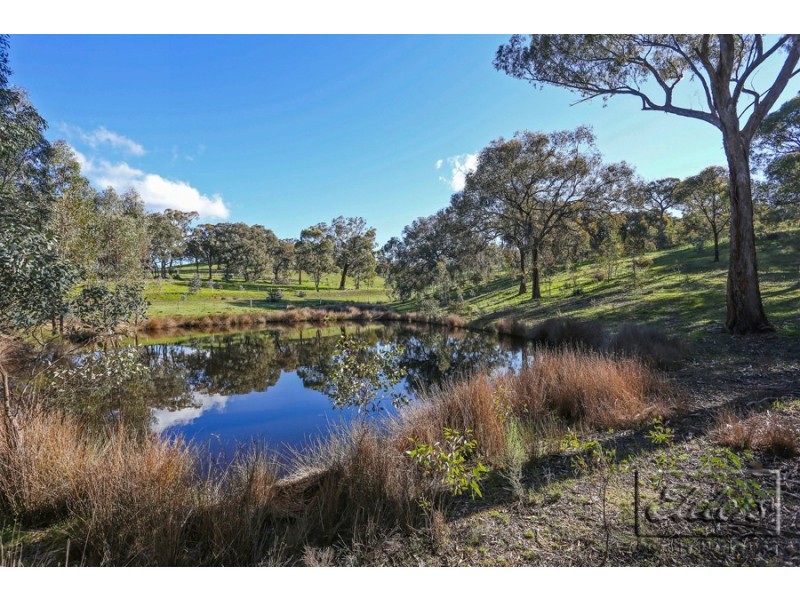 25 Drechsler Road, Sedgwick VIC 3551