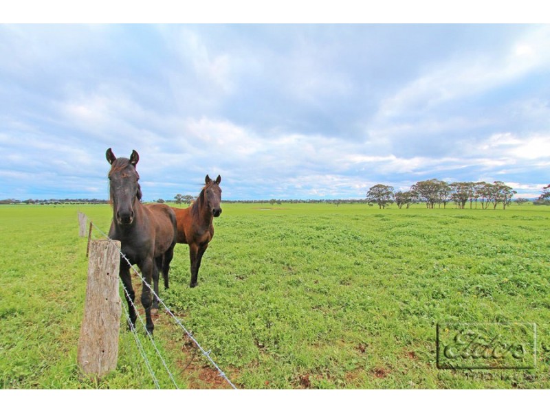 Lot 4A Stoneleigh Road, Marong VIC 3515