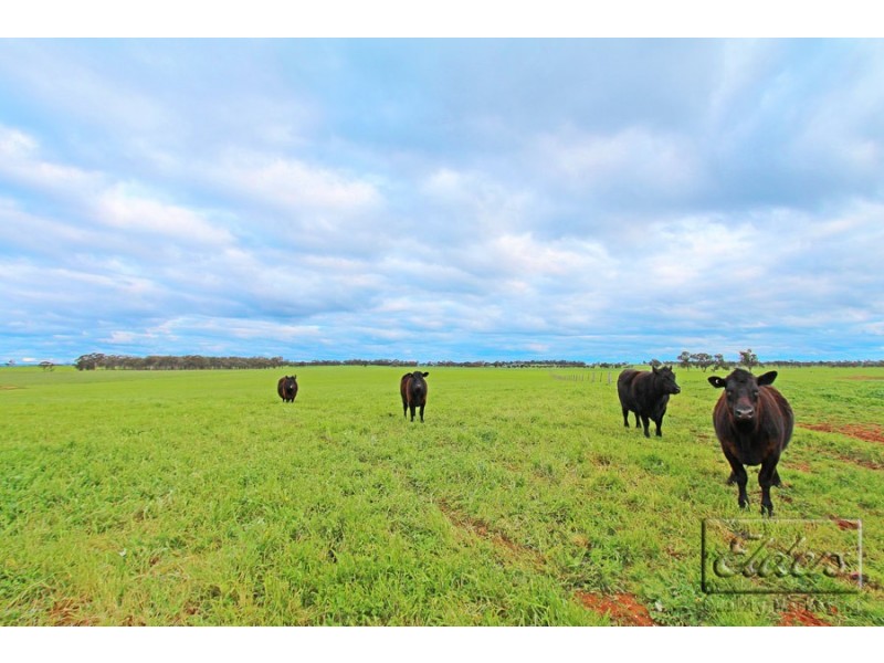 Lot 4A Stoneleigh Road, Marong VIC 3515