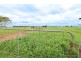 Lot 4A Stoneleigh Road, Marong VIC 3515