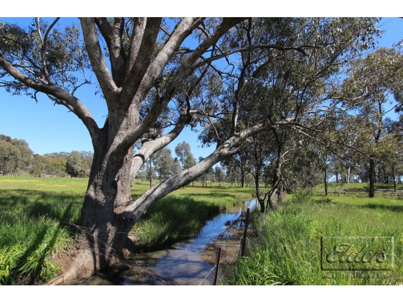 1088 Bendigo-Maryborough Road, Lockwood VIC 3551