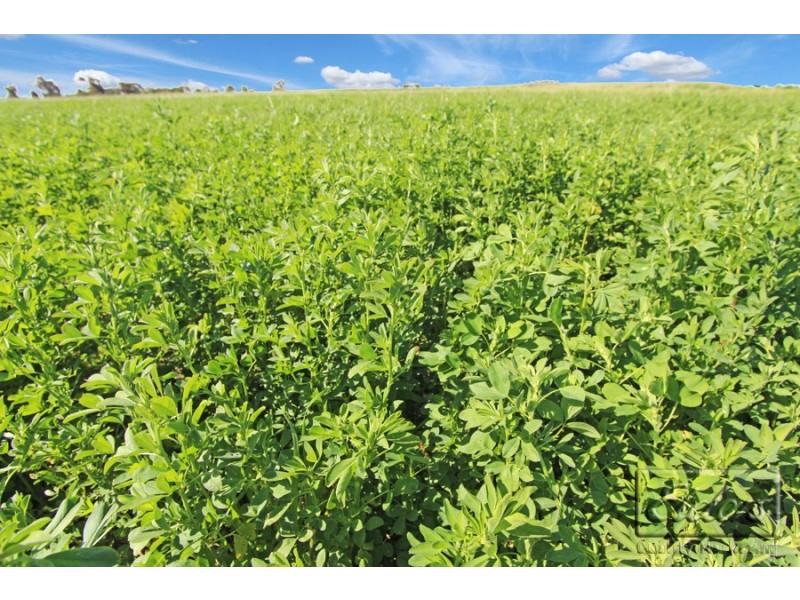 0 Pyrenees Highway, Carisbrook VIC 3464