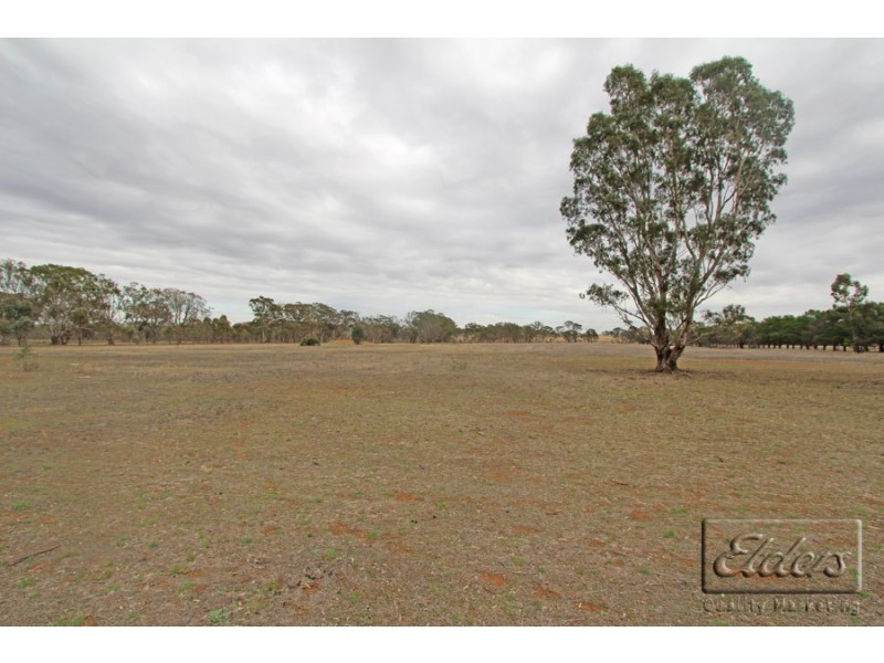 31 Dennison Court, Shelbourne VIC 3463