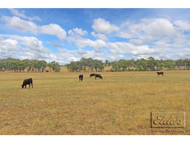 189 Canny Road, Axedale VIC 3551