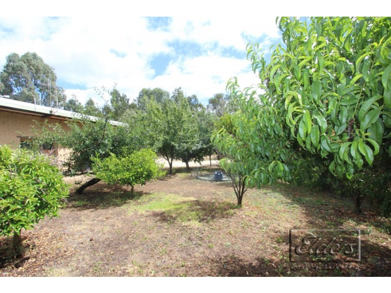 628 Abbotts Road, Axe Creek VIC 3551