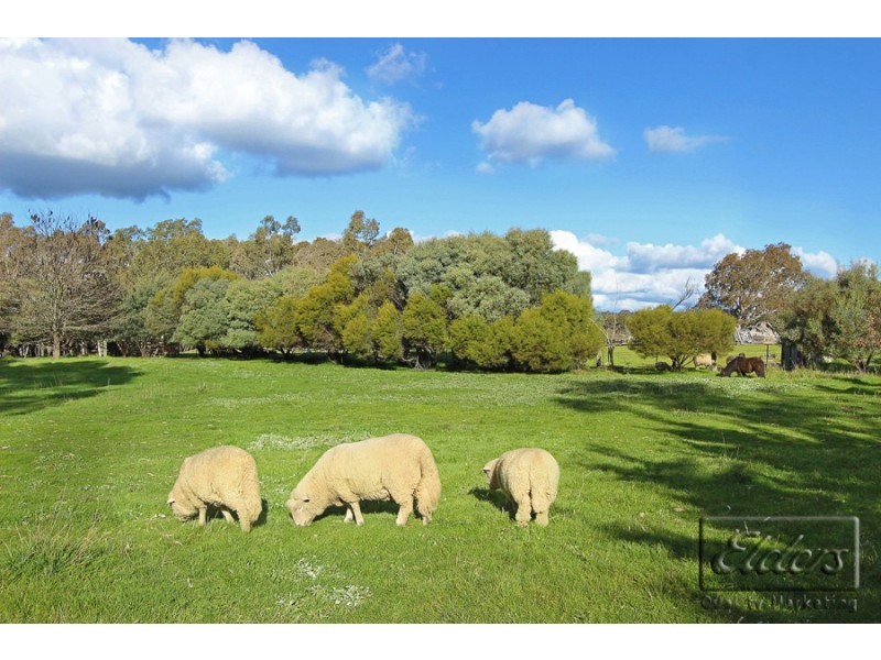 345 Sedgwick Road, Sedgwick VIC 3551