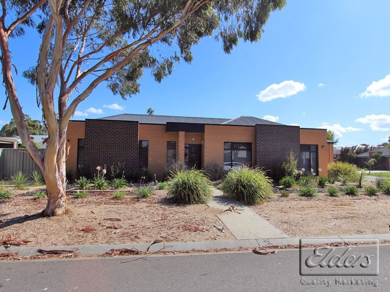 3 RUBY STREET, White Hills VIC 3550