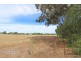 0 Burke Street, Newbridge VIC 3551