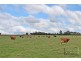 607 Loddon Valley Highway, Durham Ox VIC 3576