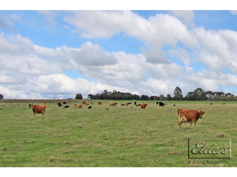 607 Loddon Valley Highway, Durham Ox VIC 3576