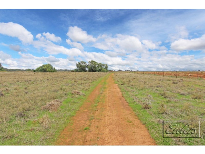 607 Loddon Valley Highway, Durham Ox VIC 3576