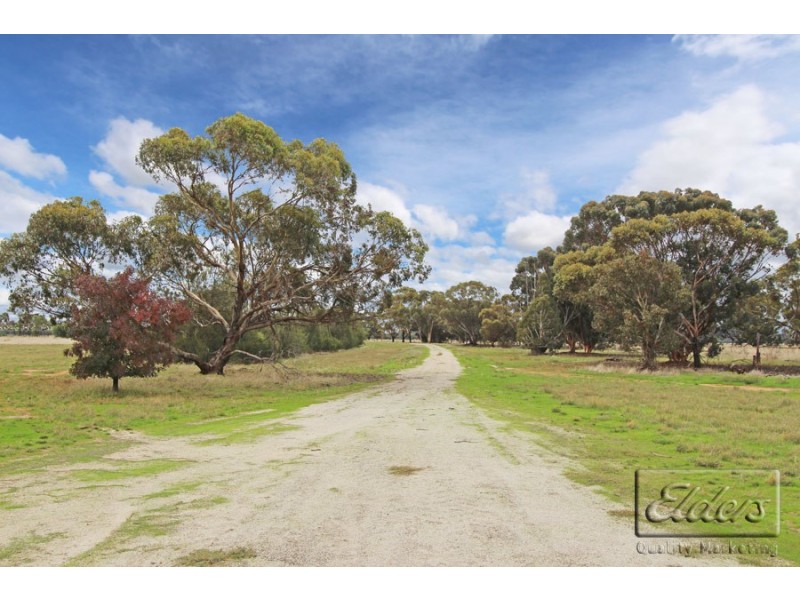 607 Loddon Valley Highway, Durham Ox VIC 3576