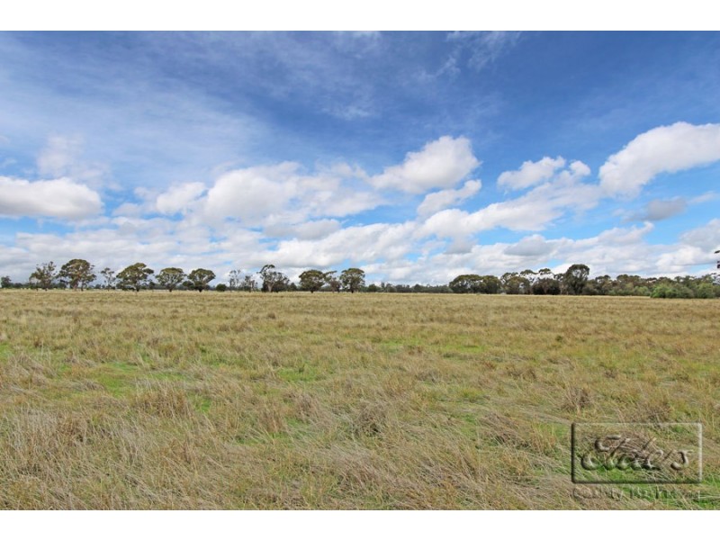 607 Loddon Valley Highway, Durham Ox VIC 3576