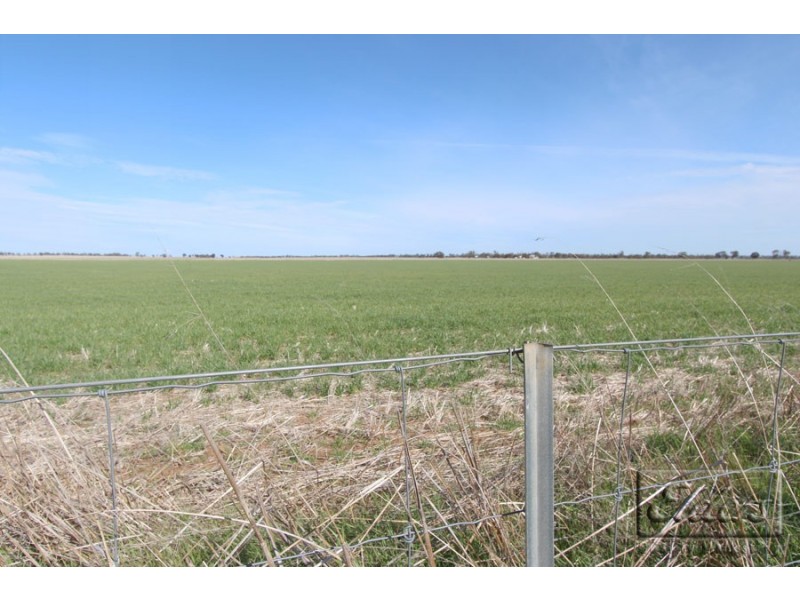 Cnr St Arnaud-Wycheproof Rd and Charlton-Jeffcott Rd, Wooroonook VIC 3525