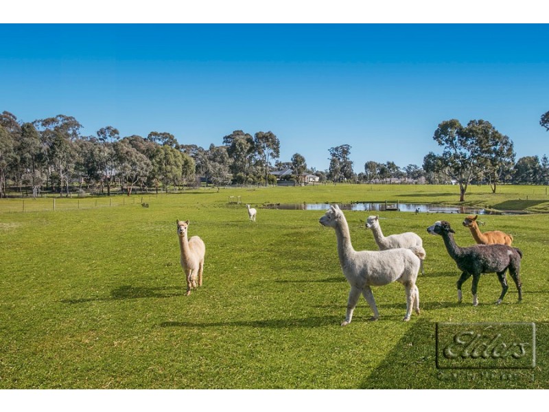 5 Kalinda Drive, Junortoun VIC 3551