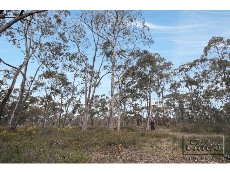 Lot 2 Corner Hawkins Lane and O’Briens Lane, Longlea VIC 3551