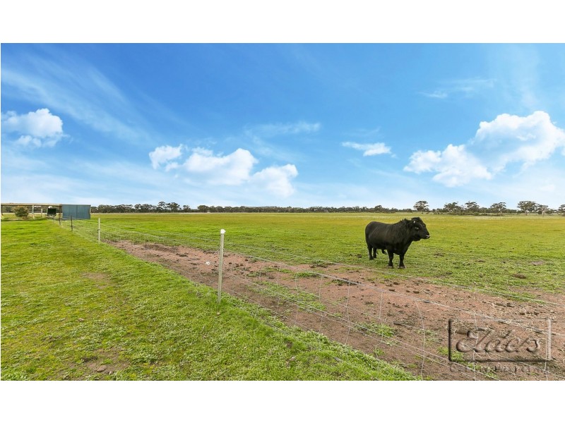 787 Bradford Road, Shelbourne VIC 3463