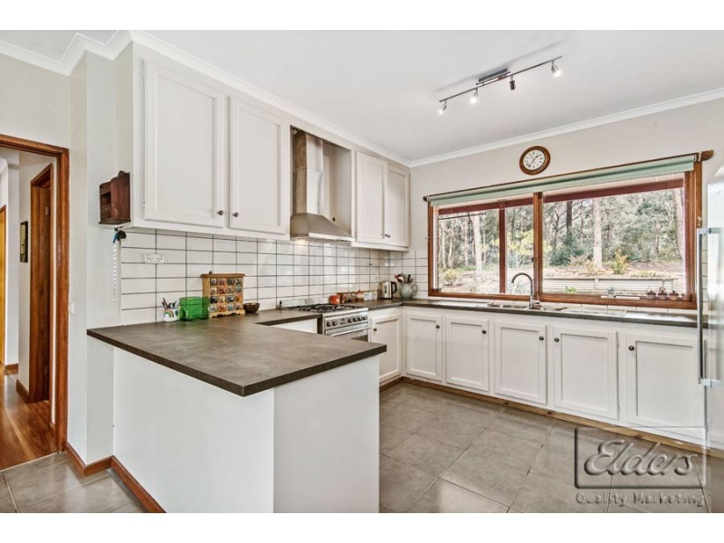 46 Coghills Road, Mandurang South VIC 3551
