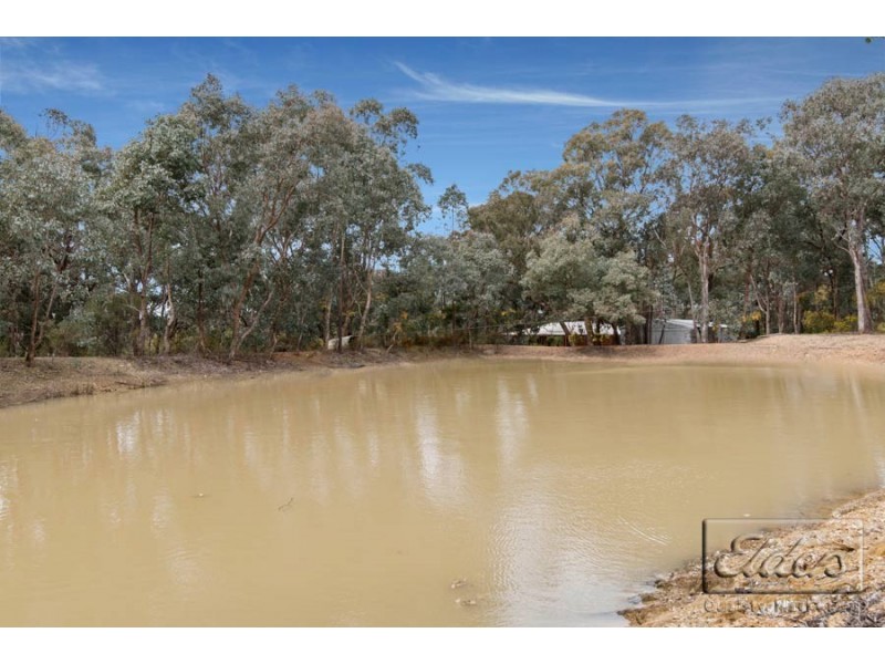 46 Coghills Road, Mandurang South VIC 3551