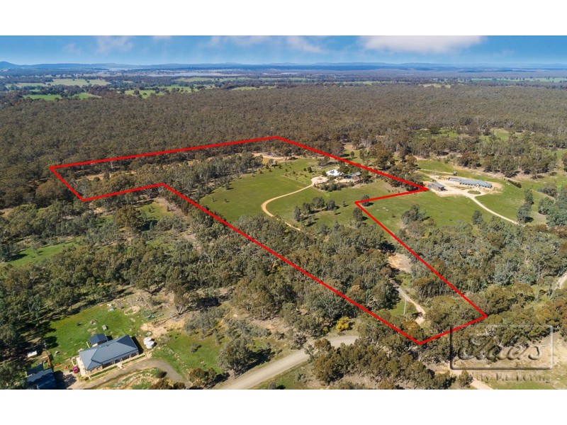 446 Native Gully Crescent, Strathfieldsaye VIC 3551