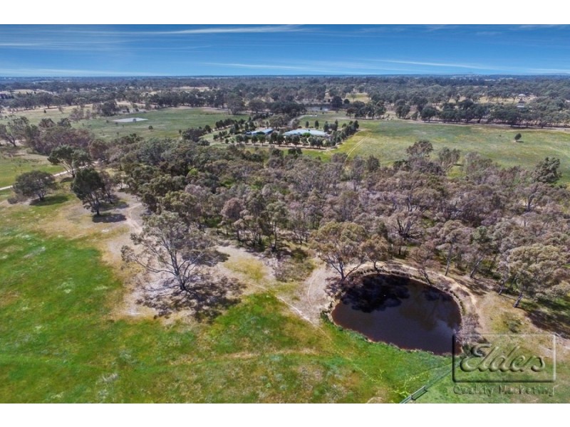 33 Mills Road, Strathfieldsaye VIC 3551