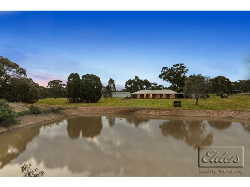 349 Waanyarra Road, Tarnagulla VIC 3551