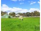 174 McCombs Road, Lockwood VIC 3551