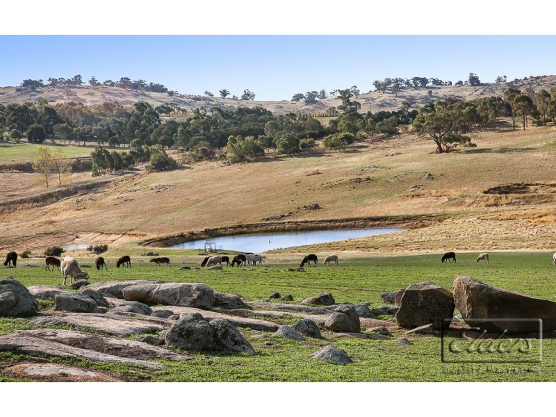 486 North Harcourt Road, Harcourt North VIC 3453