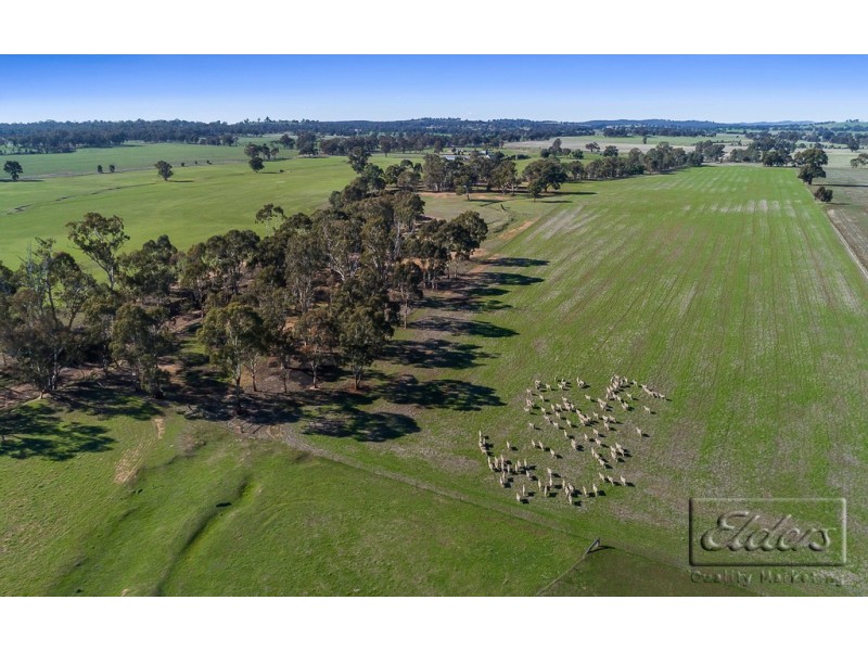 Lot 1 Douglas Road, Shelbourne VIC 3463