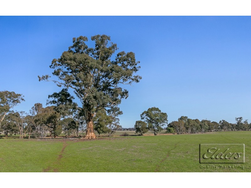 Lot 1 Douglas Road, Shelbourne VIC 3463