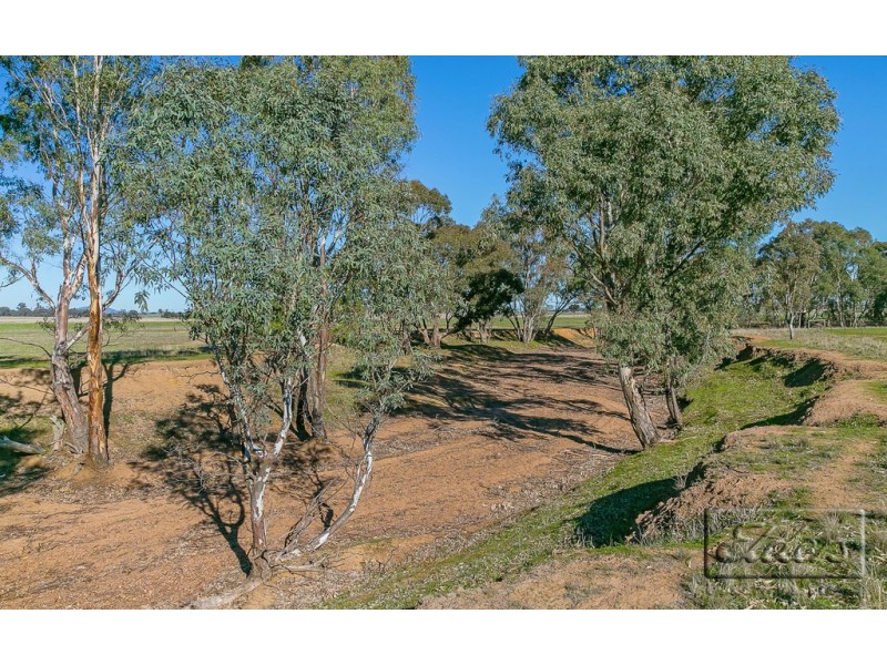 Lot 1 Douglas Road, Shelbourne VIC 3463