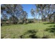 55 Dr Barkers Lane, Harcourt North VIC 3453