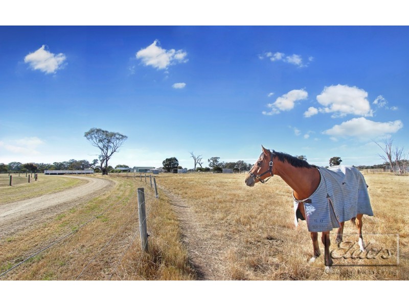 314 Pethericks Road, Goornong VIC 3557