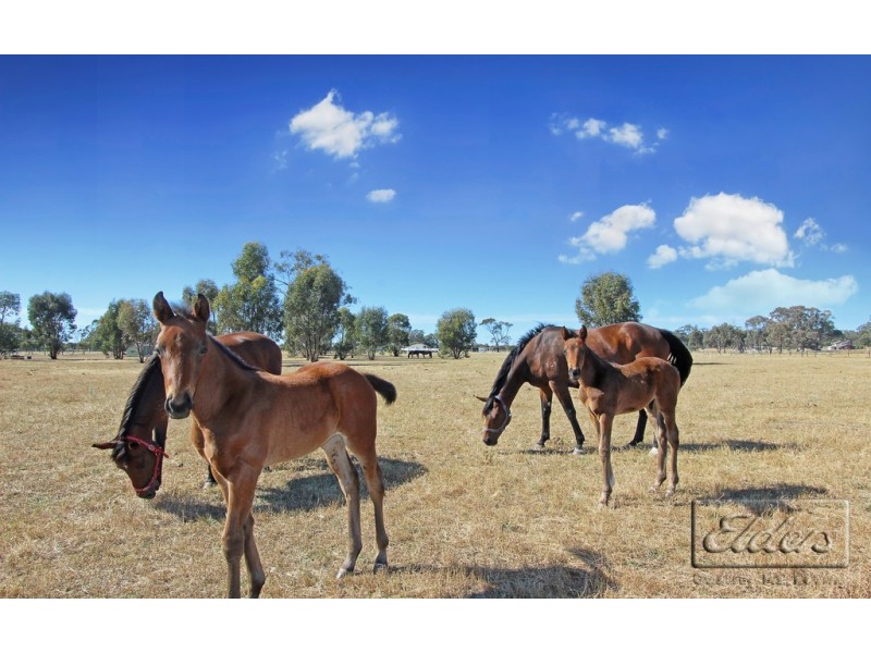 314 Pethericks Road, Goornong VIC 3557