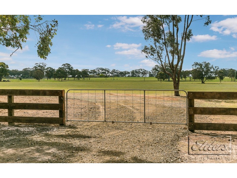 End of Martins Road, Goornong VIC 3557