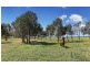 323 Wild Cherry Road, Lockwood South VIC 3551