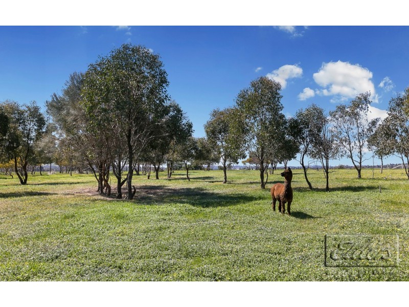 323 Wild Cherry Road, Lockwood South VIC 3551